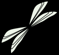 学琴人的《弟子规》